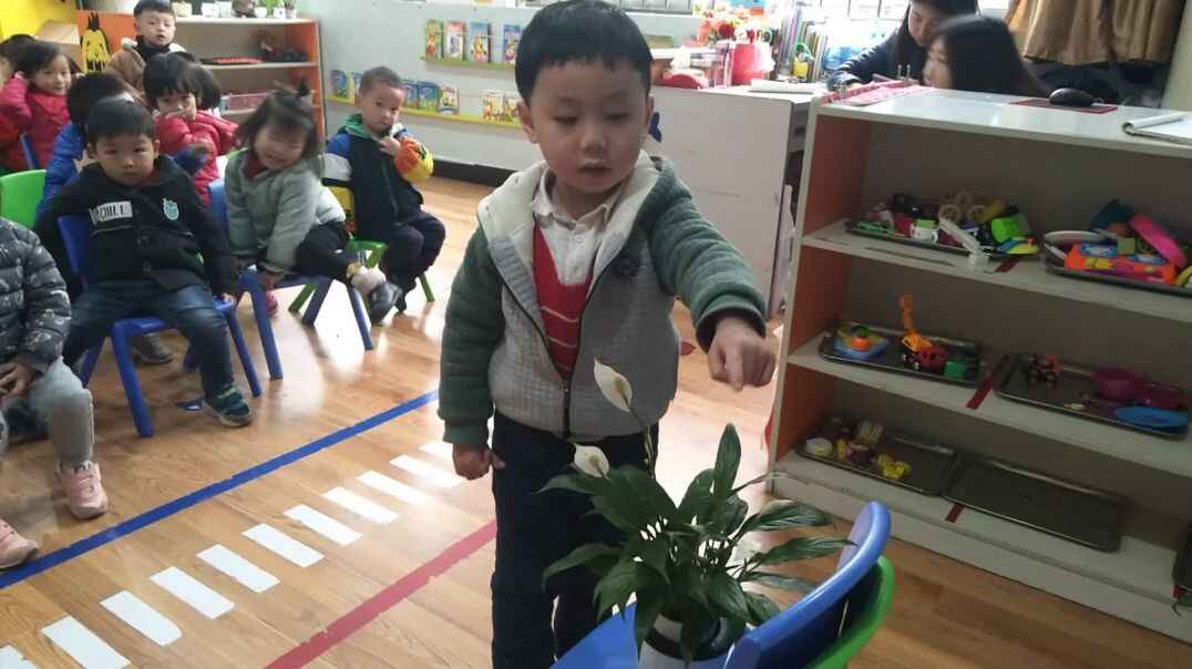 数一数