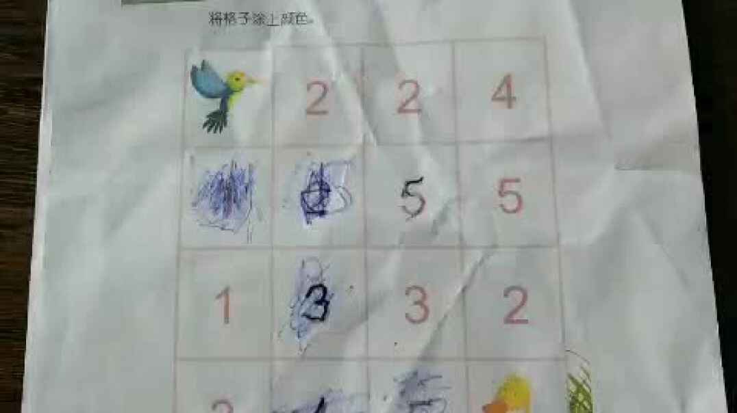 《数字迷宫》作业批改.mp4