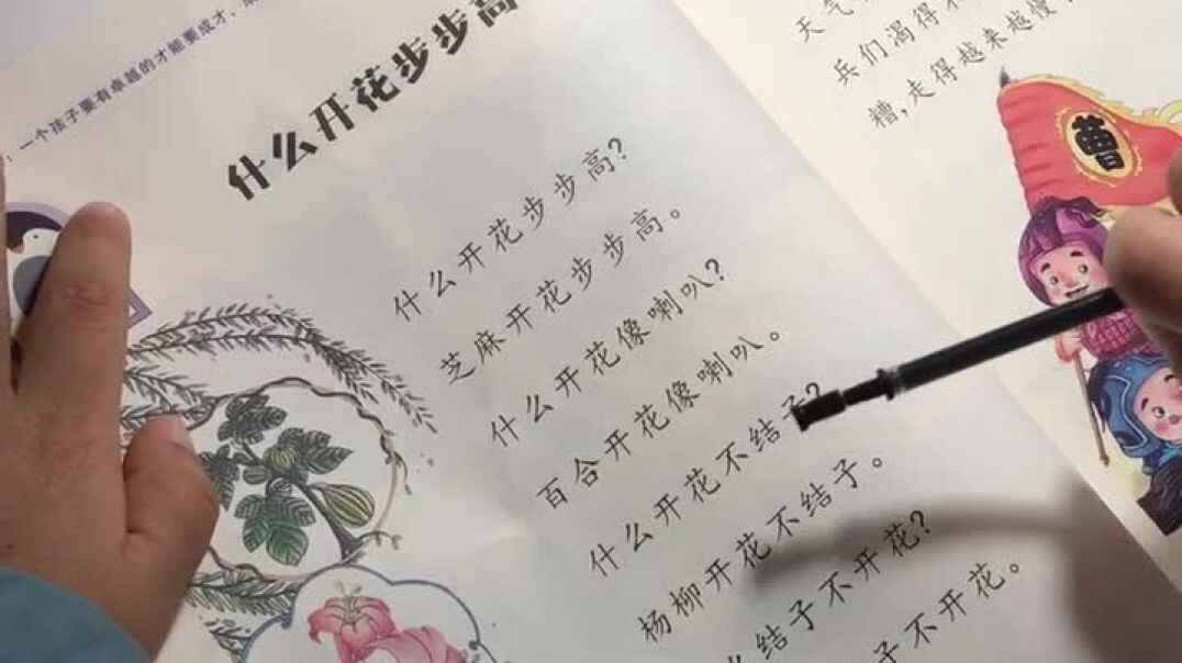 11月12日《什么开花步步高》秦梓瑞