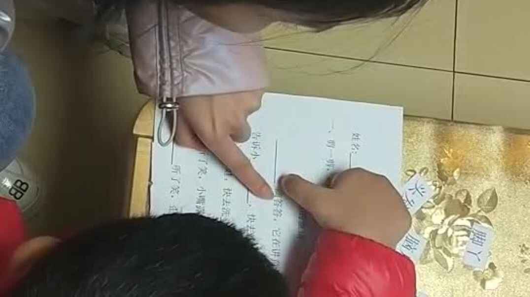 贴纸～杨谨帆