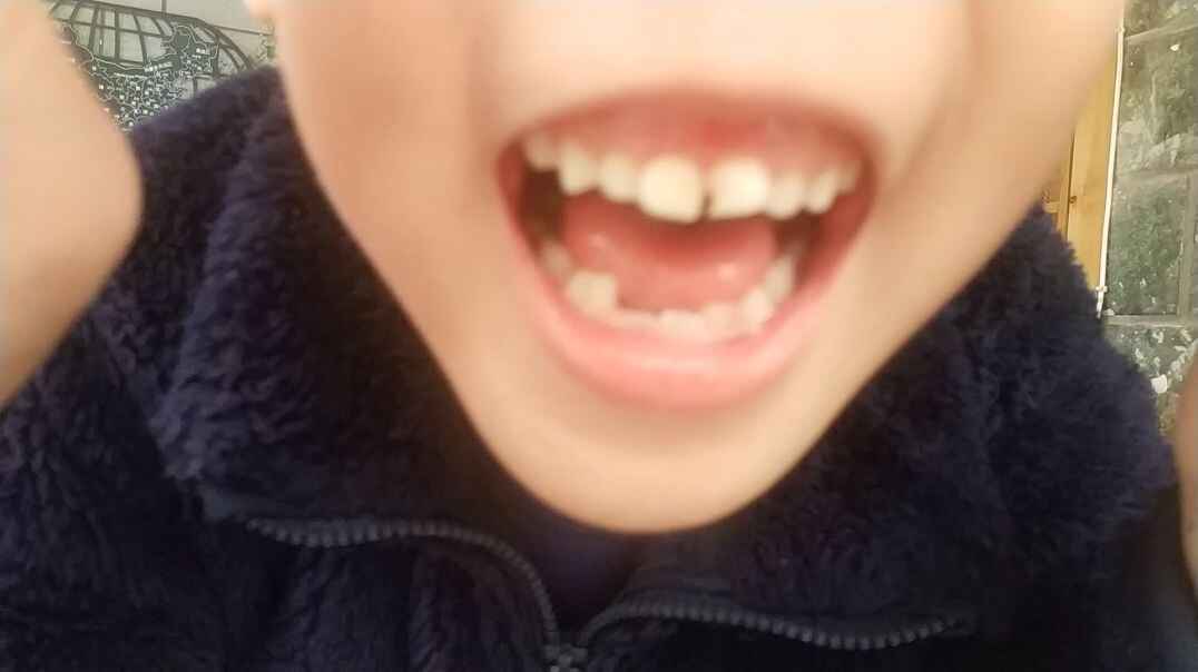 小小的你们2