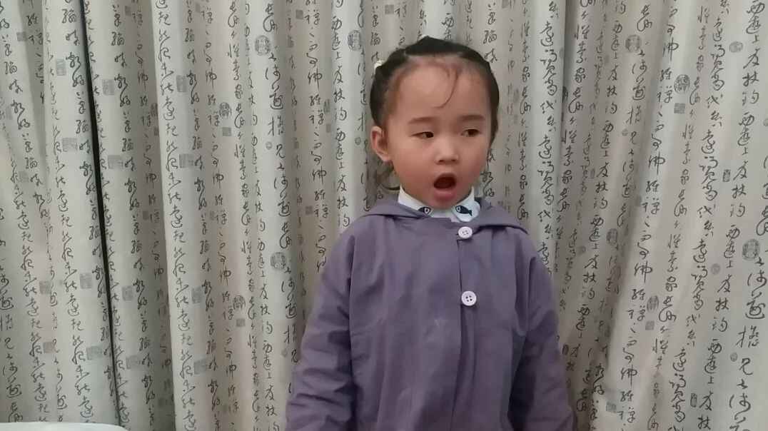 复习古诗二首