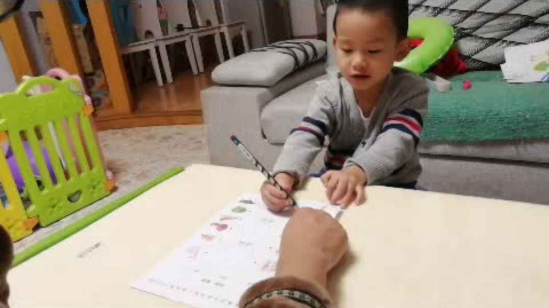 动物植物20191104.mp4