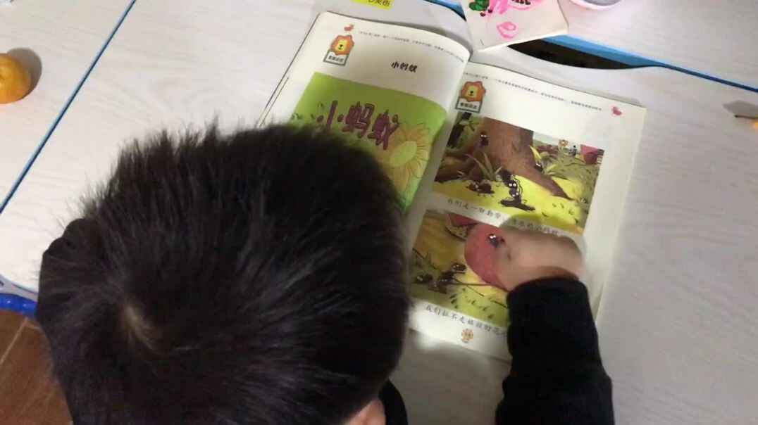 2019年11月5日实验中班29号家庭作业