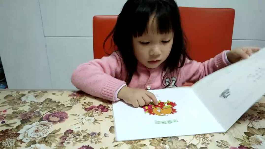 2019-11-3实验中班14号张可欣家庭作业反馈1