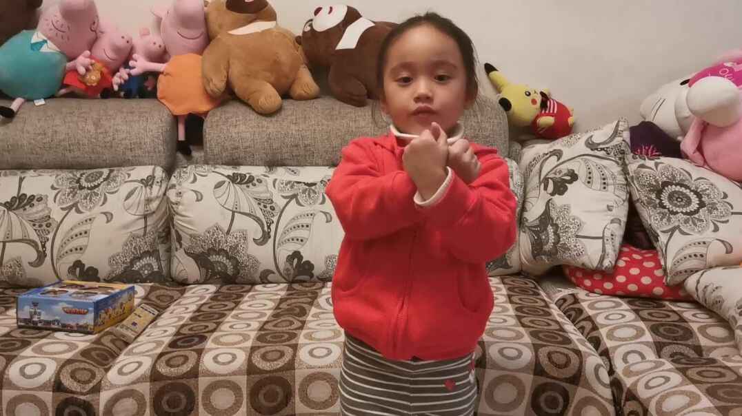 《五只小鸟》