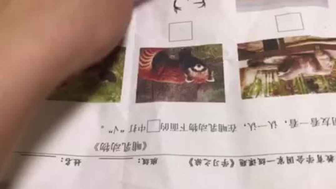 2019.11.12实验中班6号作业反馈