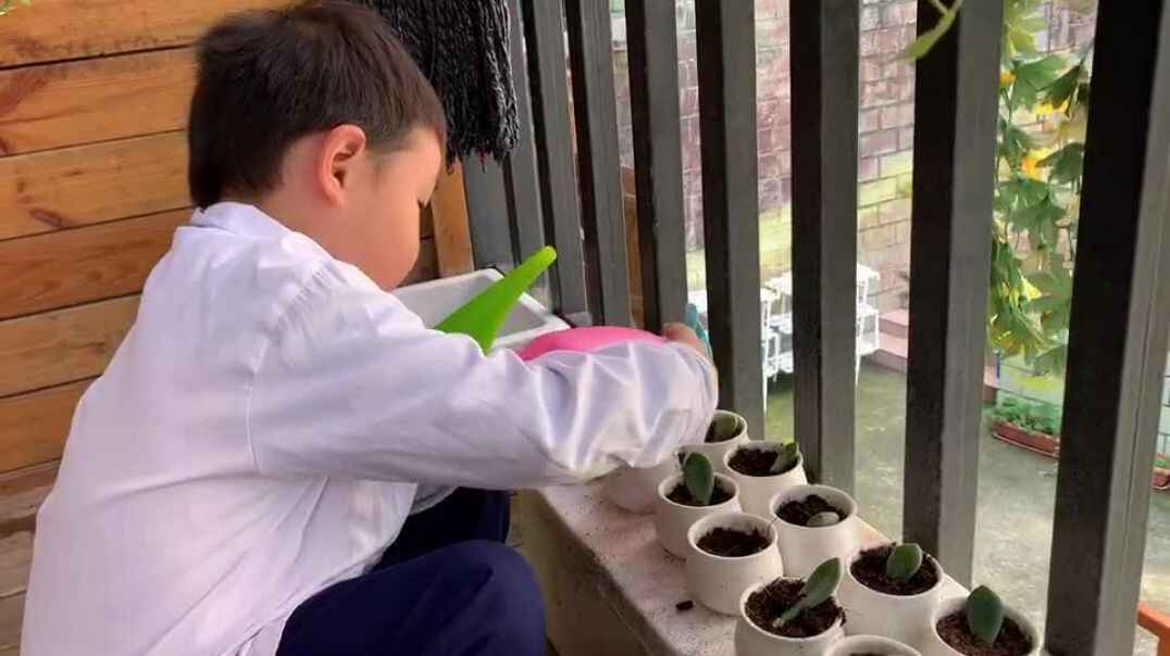 我要给花浇浇水