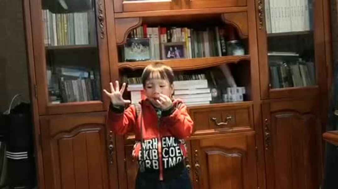 大B班肖俊泽手指操巜五只小鸟》