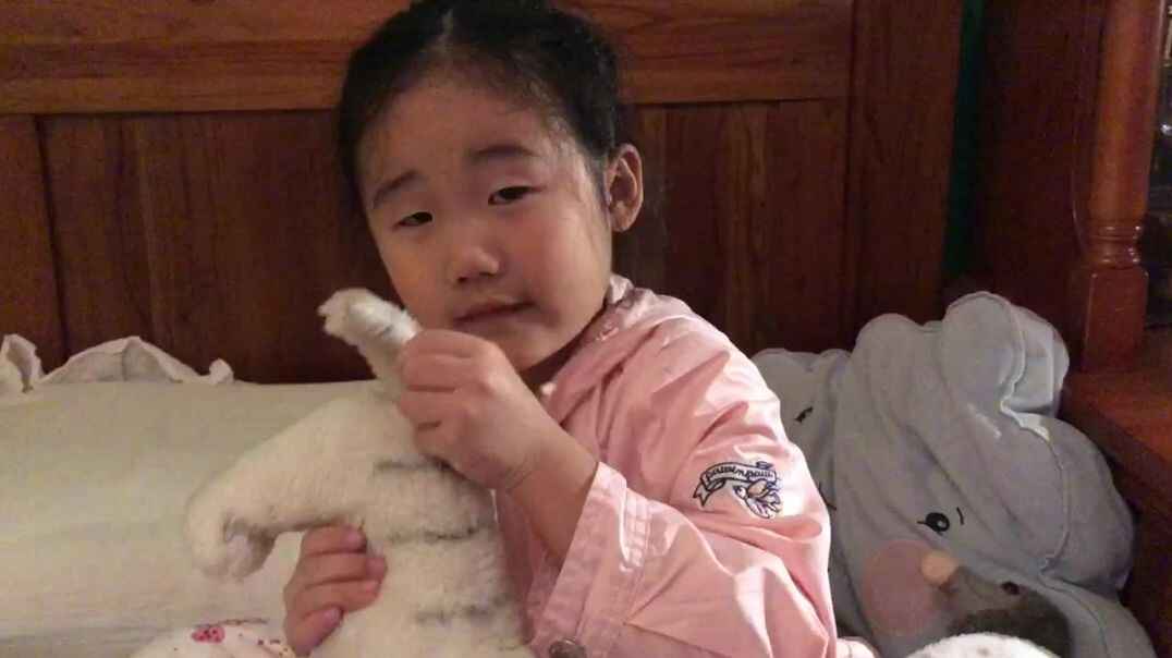 2019.11.2唐诗《登鹳雀楼》