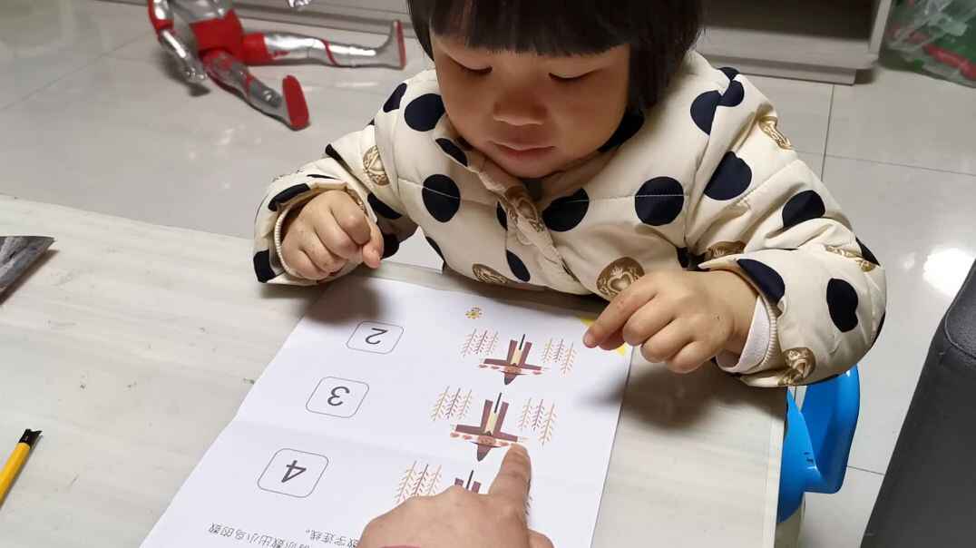 认识4以内的数.mp4