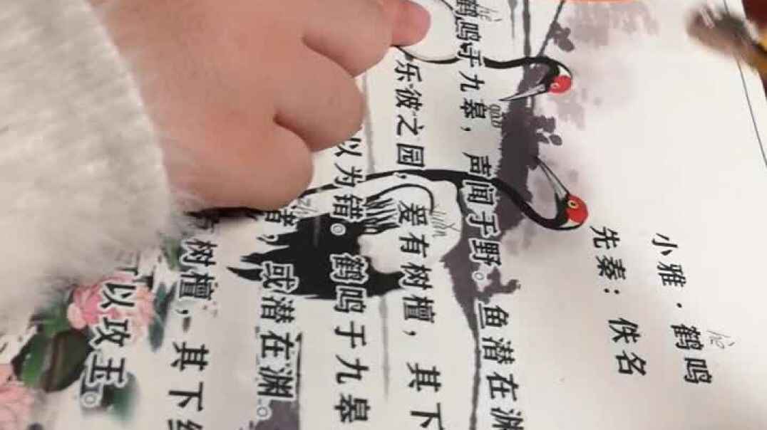 指读小雅•鹤鸣