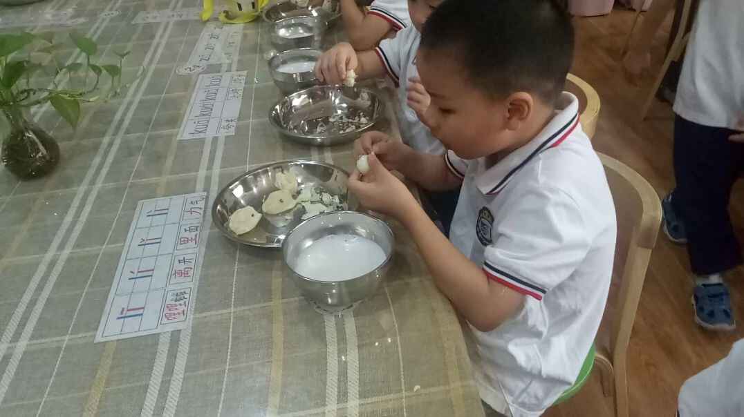 我的鹌鹑蛋