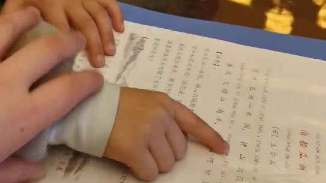 动手动脑我最行5
