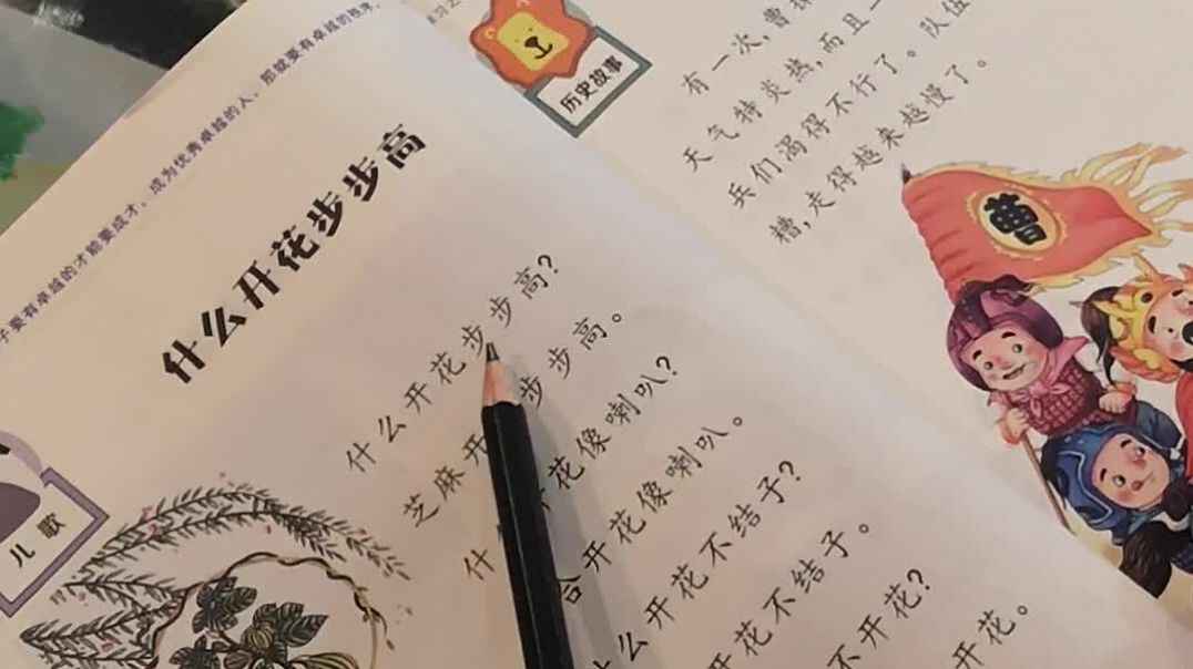 什么开花步步高.mp4