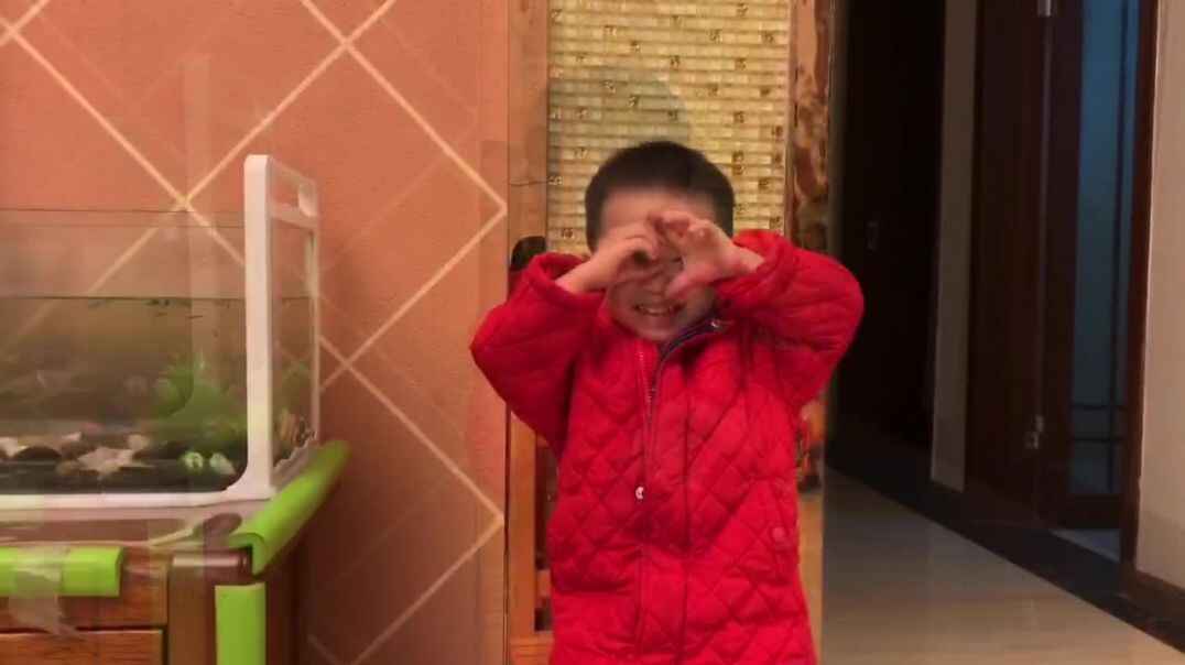 《毛毛虫》