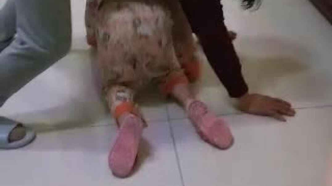 书本的乐趣4