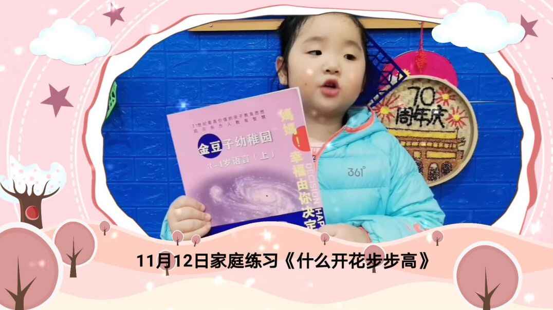 11月12日《什么开花步步高》