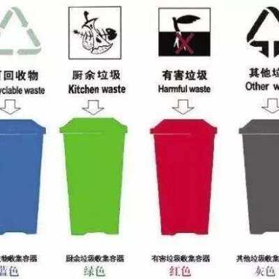 王乐 