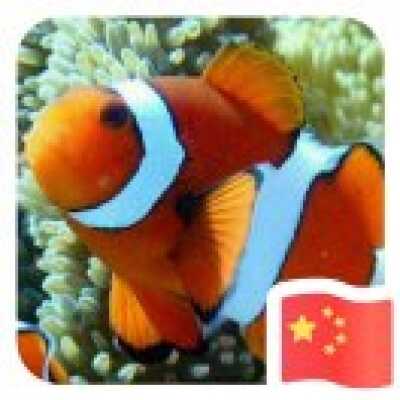 开心果果 