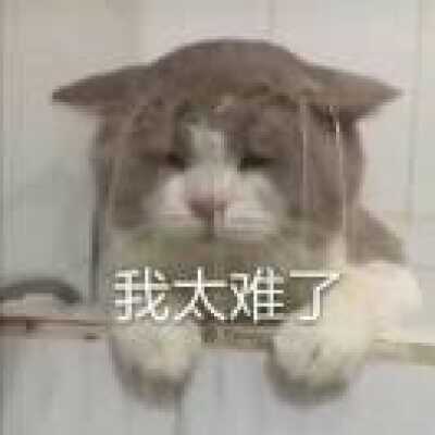 难 