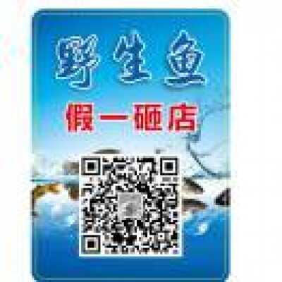 盘江鱼18680888348 