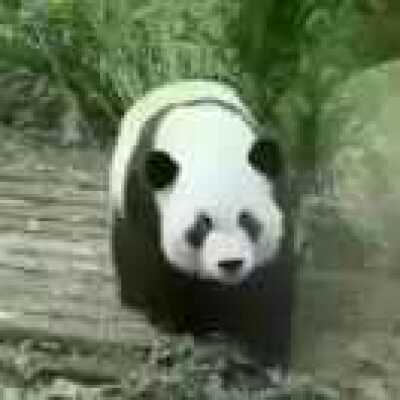 凉不过人心 