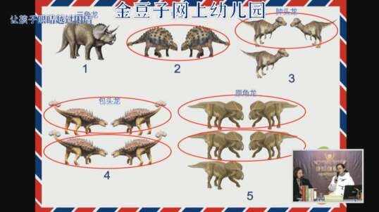 2020.2.13金豆子网上幼儿园数学——单数与双数