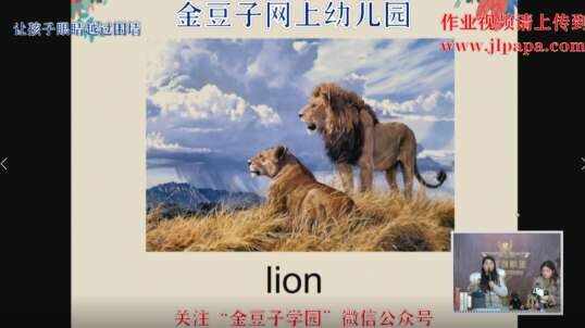 2020.2.2金豆子网上幼儿园英语——动物园