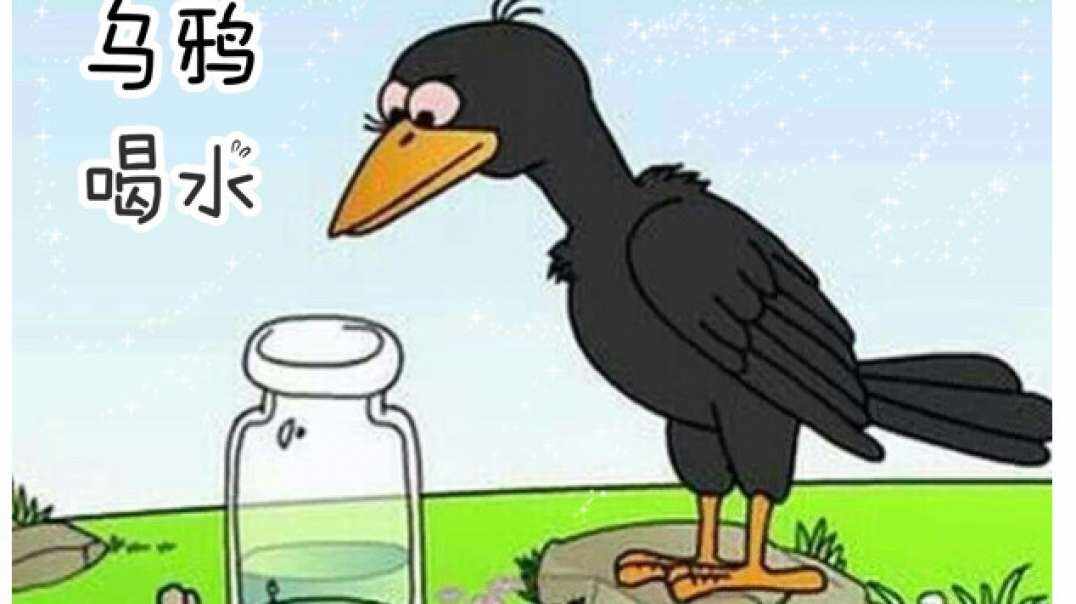 乌鸦喝水