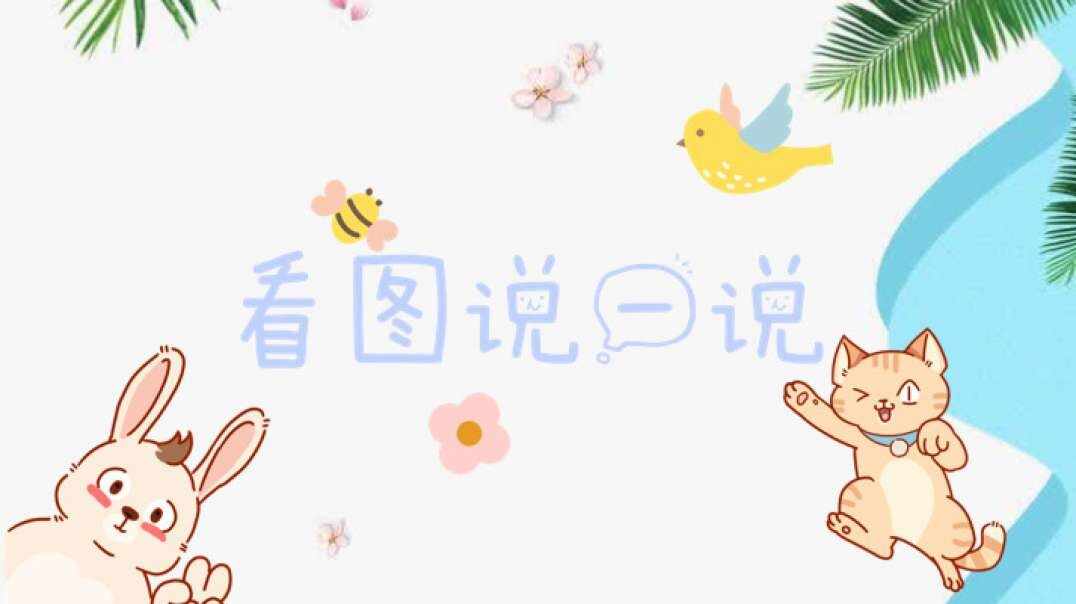 看图说一说.MOV