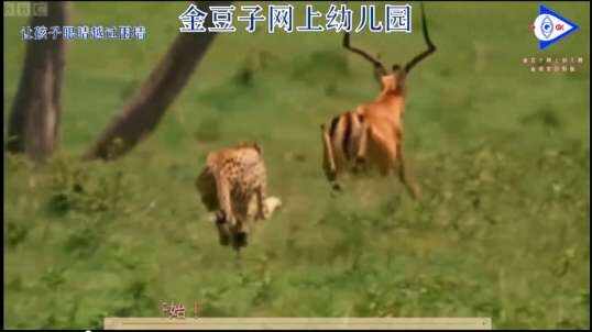 2020.5.6英语课堂——你叫什么名字（8）