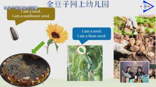 2020.3.12英语课堂——植物如何生长9
