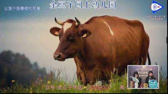 2020.3.13英语课堂——肉类和农场动物9