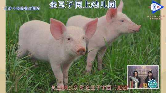 2020.3.13英语课堂——肉类和农场动物10