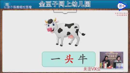 学习量词
