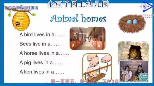 2020.4.13英语直播——自然拼读法N6