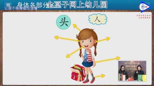 认识身体的各部位