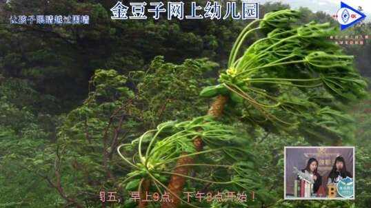 2020.3.19英语课堂——天气5