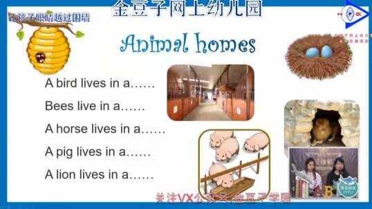 2020.4.13英语直播——自然拼读法N7