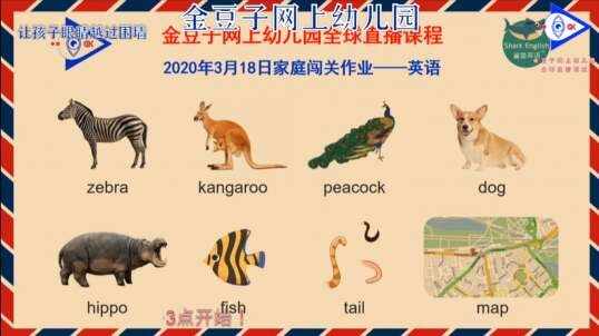 2020.3.18英语课堂——动物的尾巴14