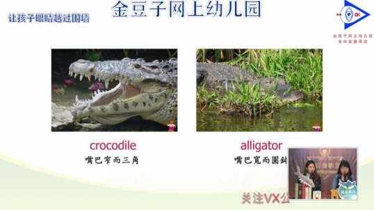 2020.3.23英语课堂——自然拼读A8