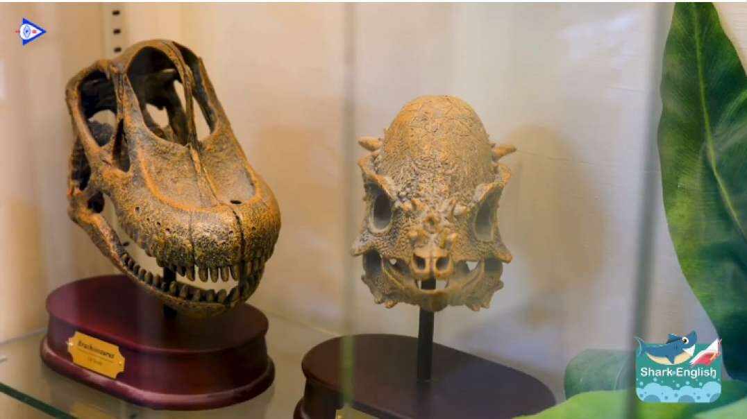 Dinosaur Adventure 恐龙之旅
