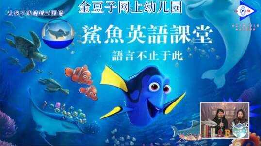 Ocean Animals 海洋生物 2020-2-28英语完整