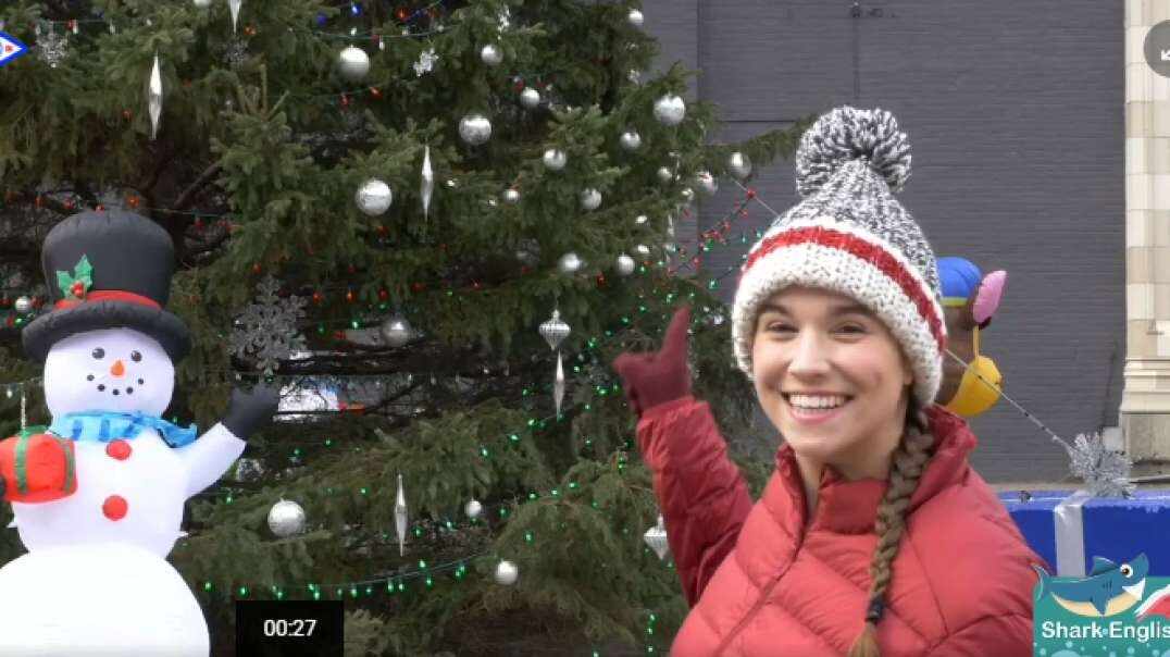 The Twelve Trees of Christmas 12棵圣诞树