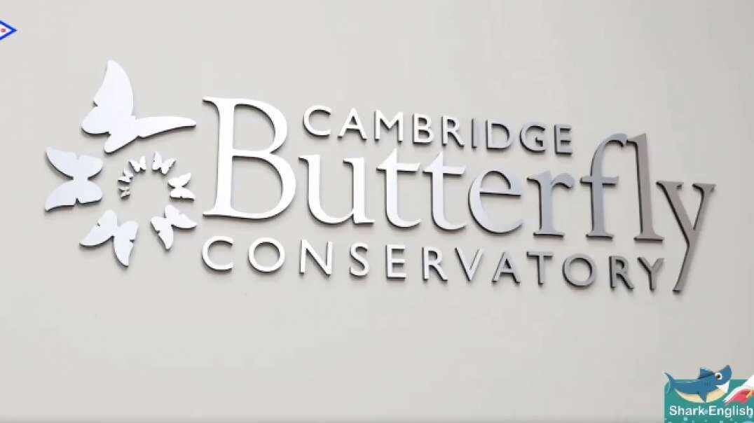 Visit A Butterfly Conservatory 参观蝴蝶园