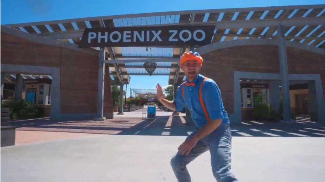 Zoo