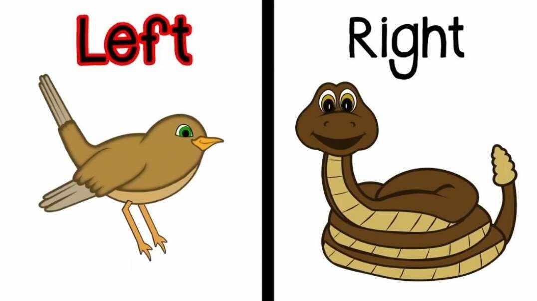 The Left and Right Song 左右歌
