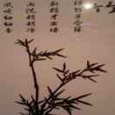 木爹 
