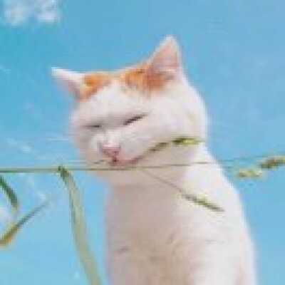 雨点点 